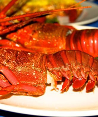 Marovo Lagoon lobster